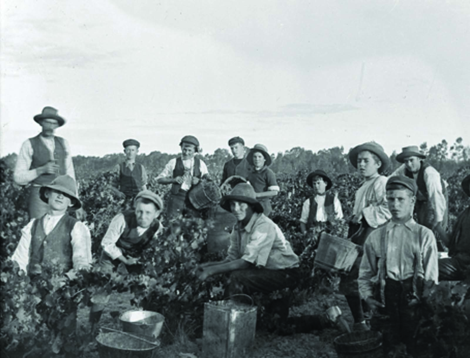 August Swine BBQ photo 1