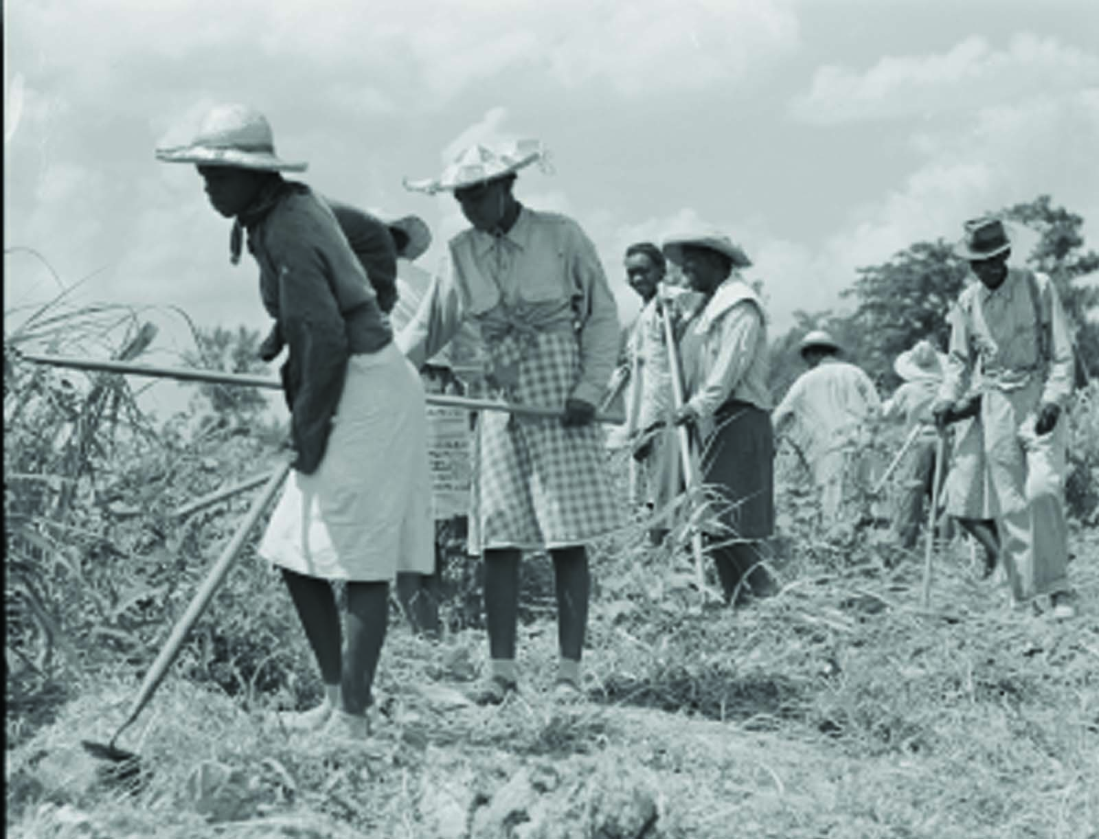 August Swine BBQ photo 5